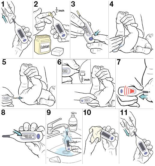 11 steps for taking your baby's rectal temperature